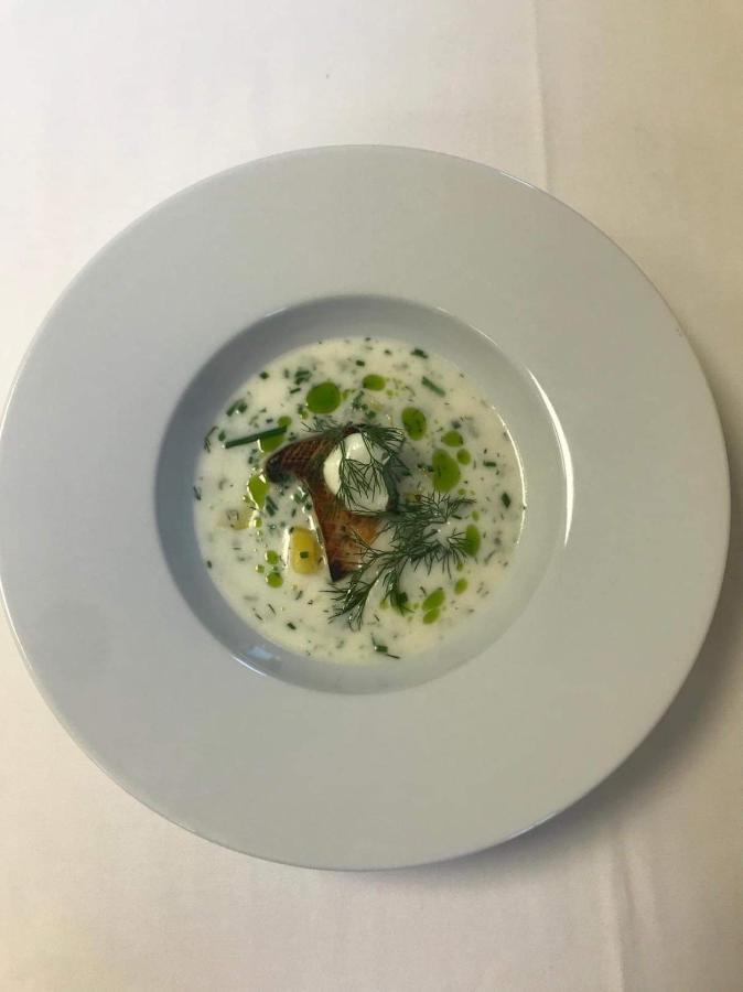 Penzion & Restaurace U Vily Sezimovo Usti ภายนอก รูปภาพ